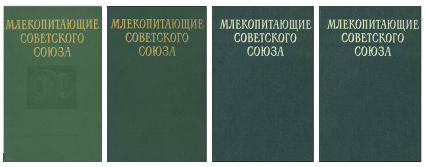 ��� ������� (4) [���]