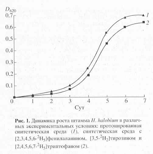    H.halobium    -   [..]