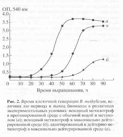    B.methylicum    [..]