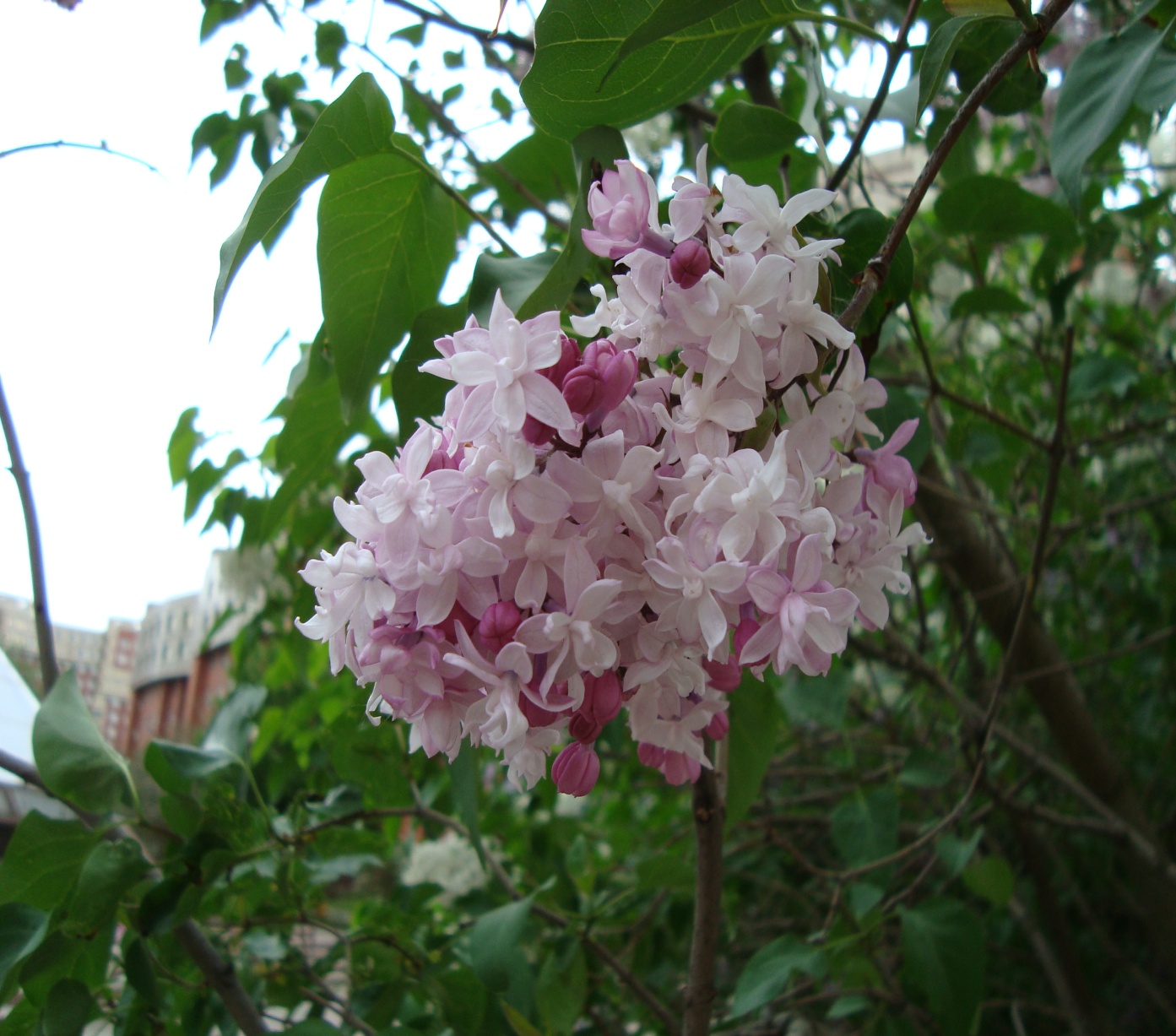 D:\����� ����� � 01.03.2022 �� �������!\���� � ��������\������, ��������\DSC04351.JPG