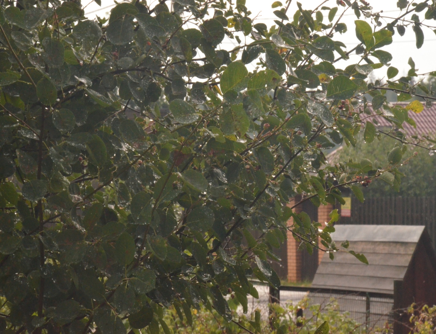 D:\����� ����� � 01.03.2022 �� �������!\���� � ������\2024\DSC_8105.JPG