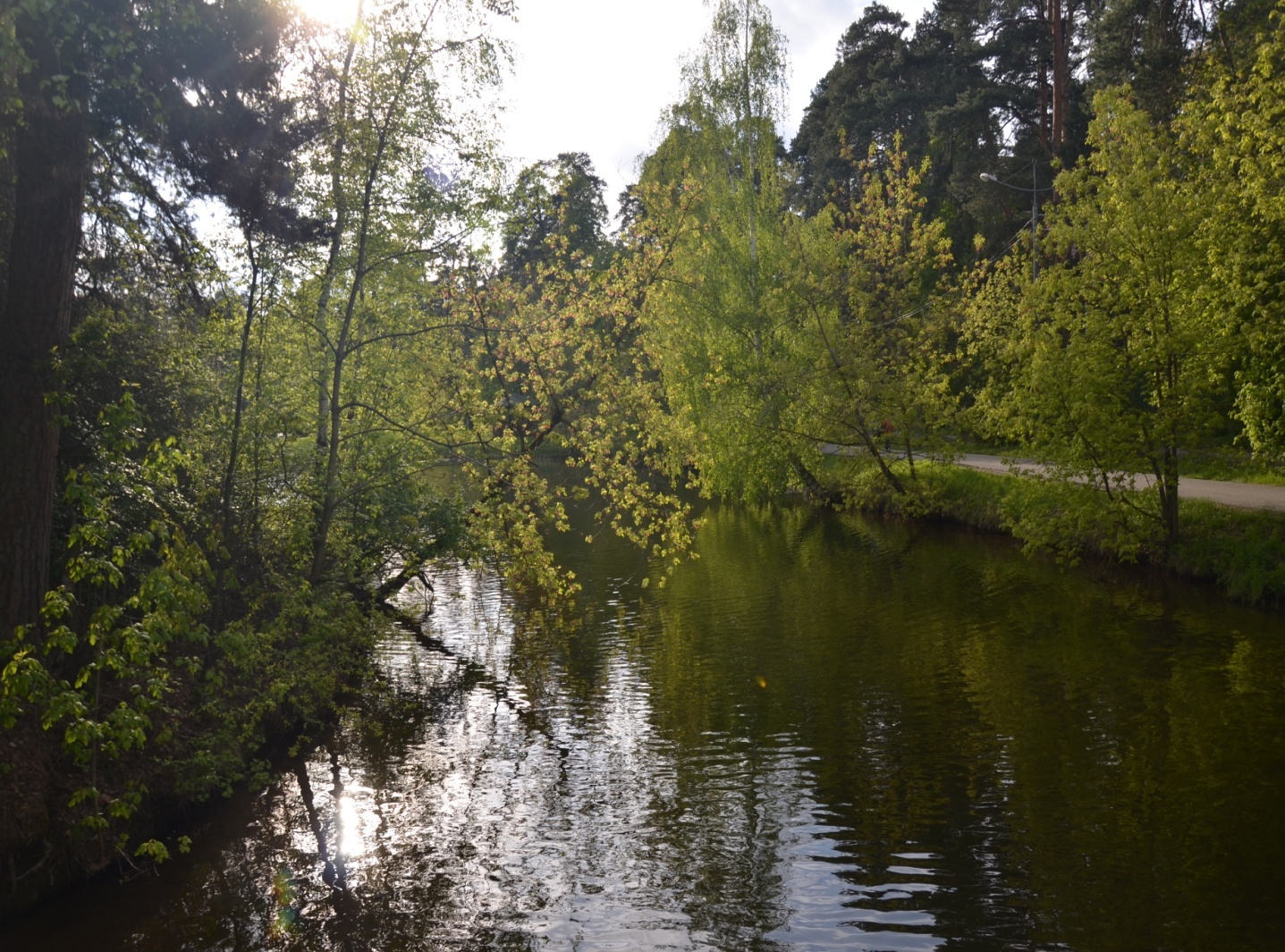 D:\����� ����� � 01.03.2022 �� �������!\���� � ������\��� ��� 9.05.24\DSC_7448.JPG