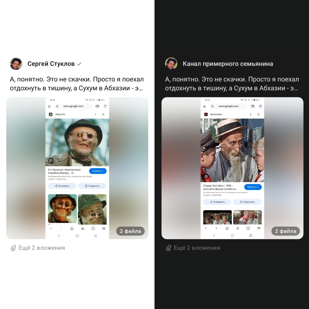 Basilio cat is on the left, Khottabych dad is on the right [Sergey Stukloff]