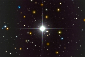 New Star Delphin [1992 ACCUSOFT INC, ALL RIGHTS RESERVED]